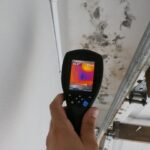 Mold Assessment